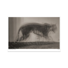 Load image into Gallery viewer, Tigress Walking (1872) Photo Art Print
